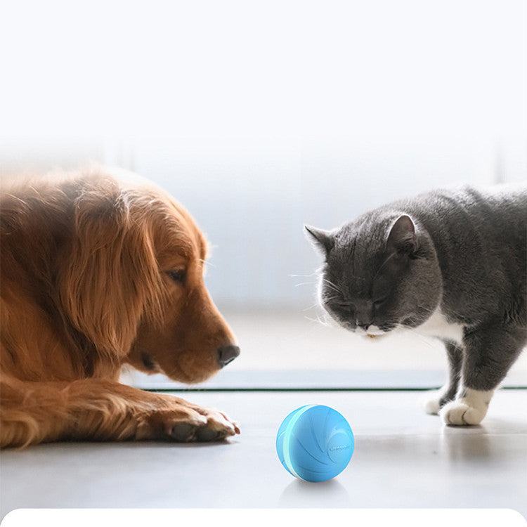 Automatic Jumping Ball | Jumping Ball Toy | Pet Toy | Luxetique Pets