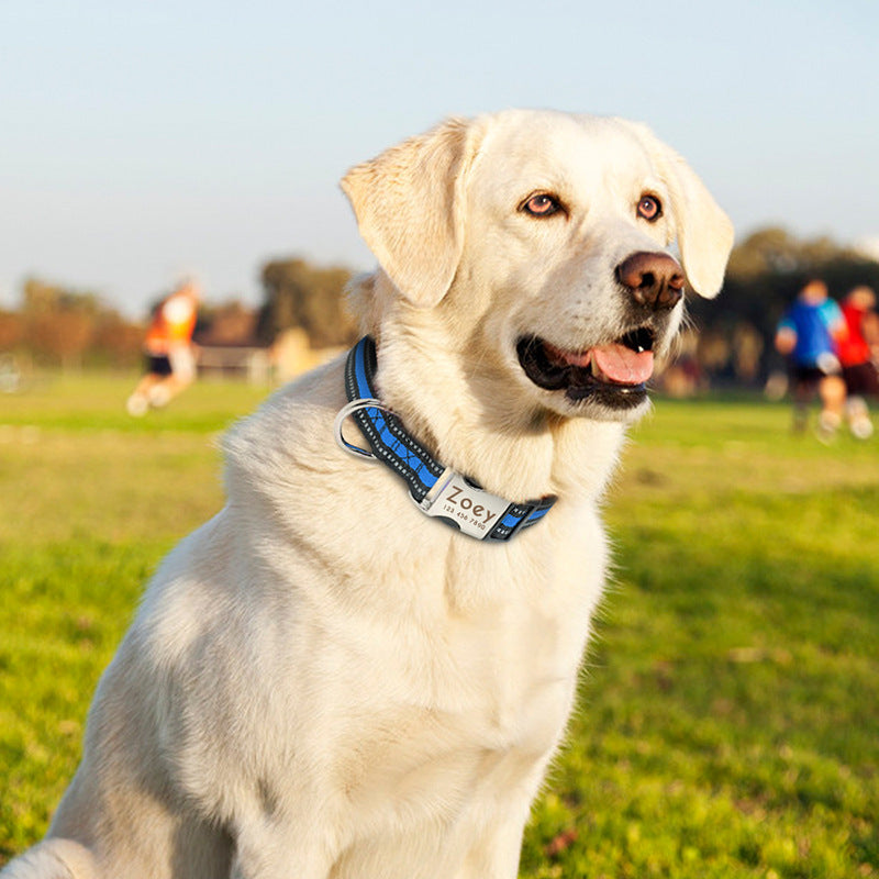 Reflective Dog Collars | Reflective Dog Tag | Luxetique Art