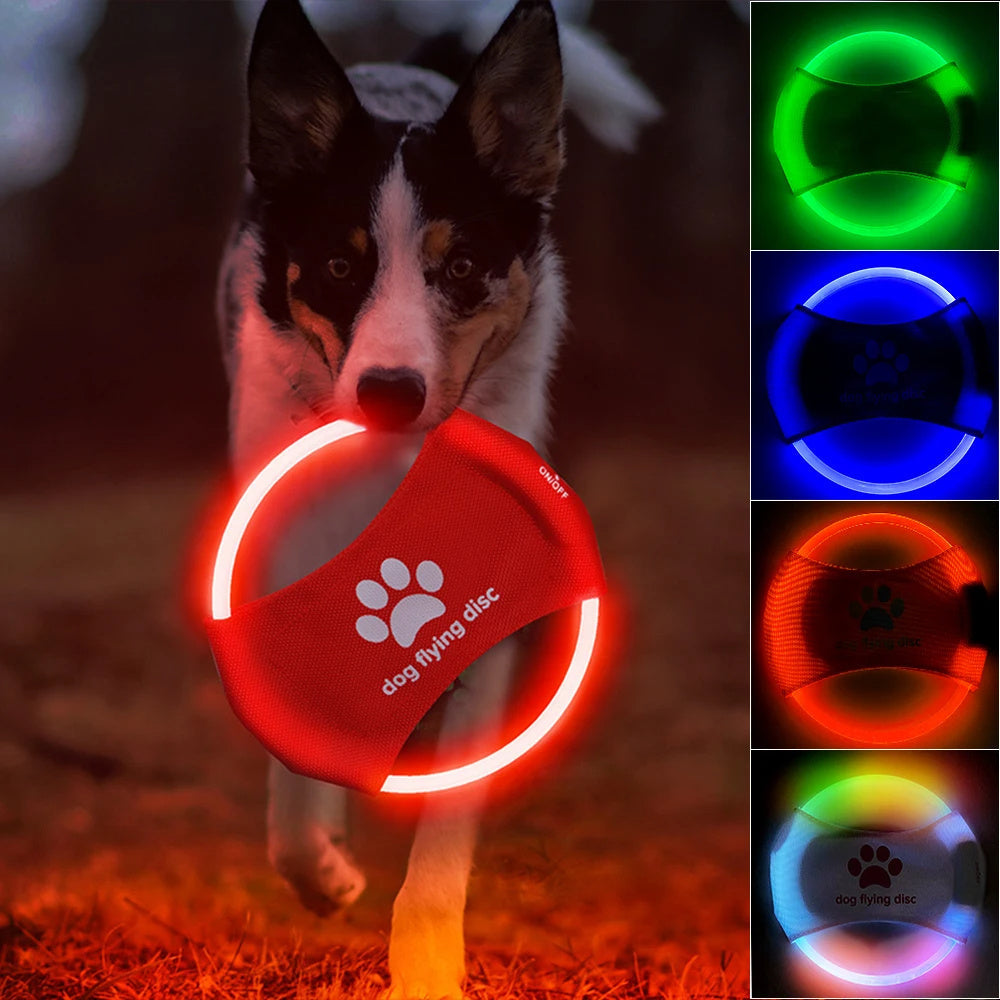 Dog Flying Discs Light LED