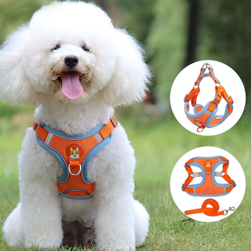 Chest Strap Harness Dog